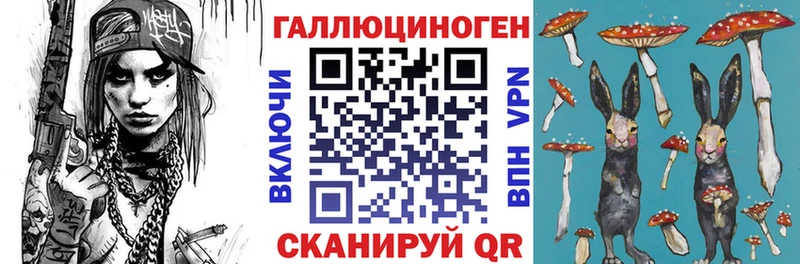 Галлюциногенные грибы Cubensis  закладки  Тогучин 