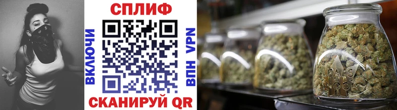 Шишки марихуана марихуана  MEGA как зайти  маркетплейс клад  Тогучин 